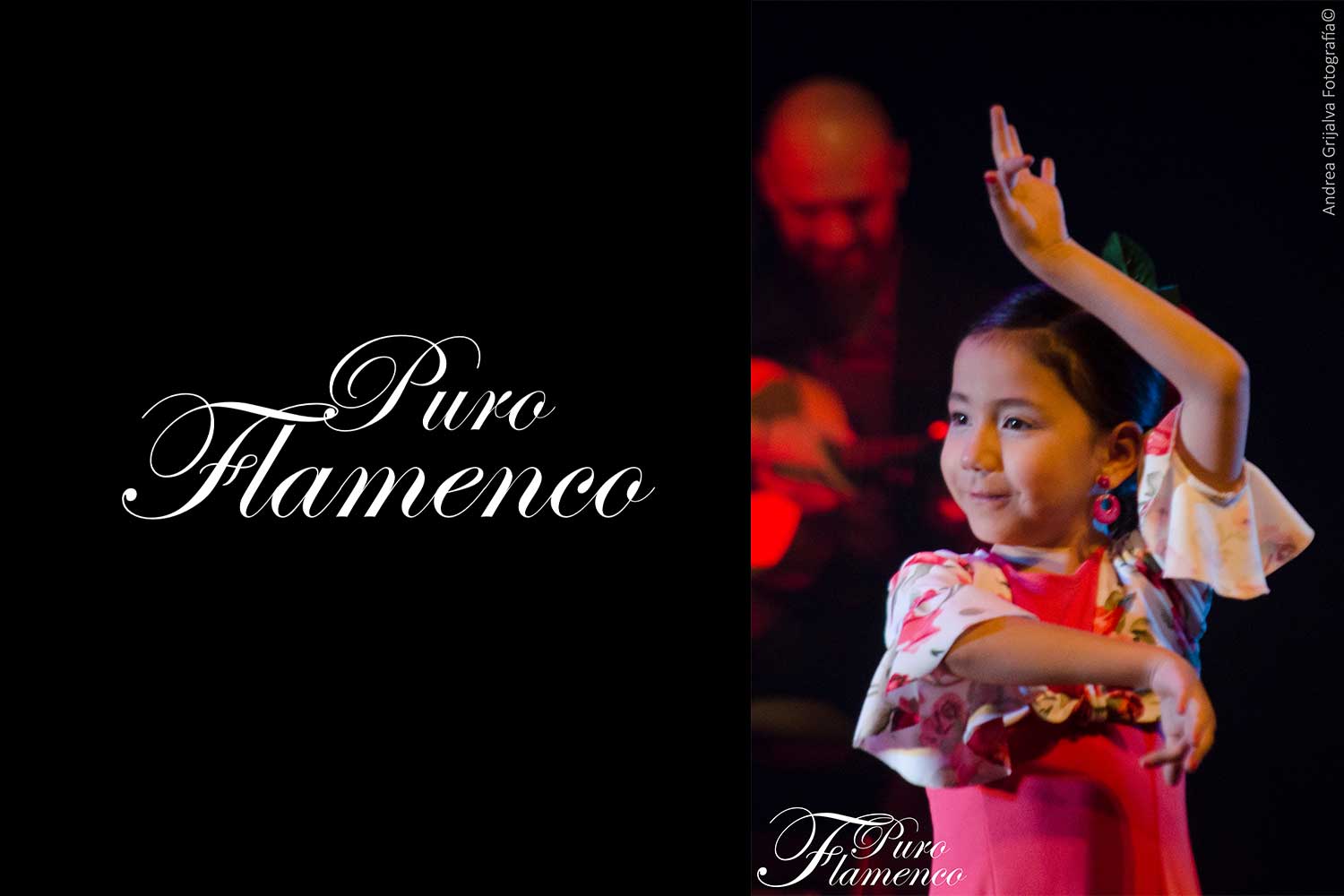 Puro Flamenco