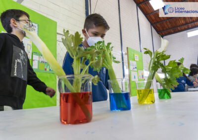 Science Fair, mayo de 2022